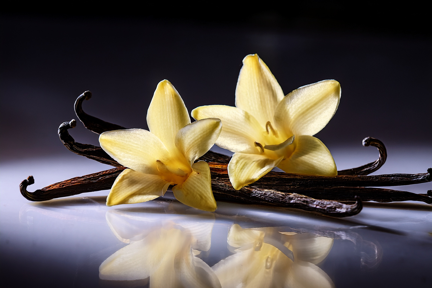 Vanilla